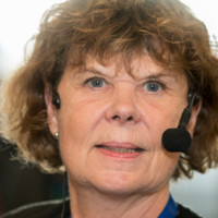 Kjerstin Bergman