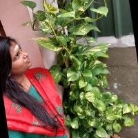 Nandhini Rajendran