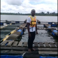 Affi Bienvenu KOFFI