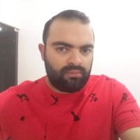 Luiz Fernando Gomes Da Cruz
