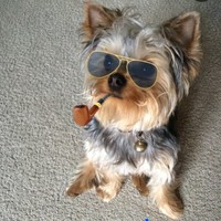 Jack TheCEO