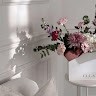 Maymona Alfaifi