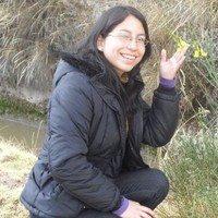 Jessy Andrea Alfonso Salas