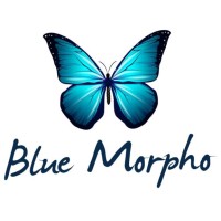 Blue Morpho
