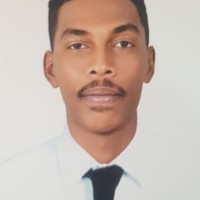ayman ibrahim