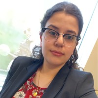 Reem Hussein