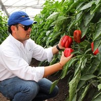Ricardo J. Fontes Gallardo
