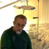 Luigi Simonetti