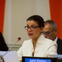 HRH Dr Nisreen El-Hashemite, BSc MSc MD PhD