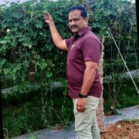 Battina China Madhava Rao