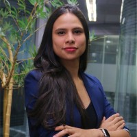 Alane Guimaraes Costa