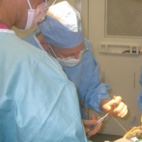 Greg Bramblett MD, PhD