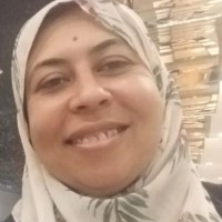 Heba Hamdy