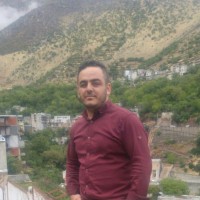Hamed Amiri
