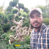 Md Jasem Kabiraz