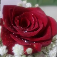 Juveriya Fatima