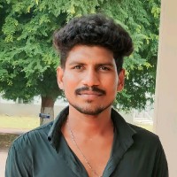 Velmurugan S