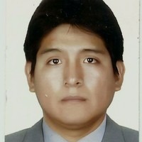 ELVIS ERIK TORREJON CARBAJAL