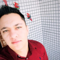 Wellington Tinti Flores