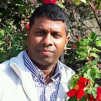 Jose Pereira