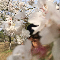 王大强