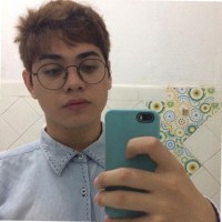 Lukas Vinicius Borges da Silva