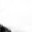 Test T