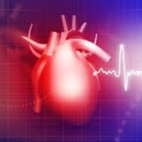 Cardiology And Cardiovascular Medicine