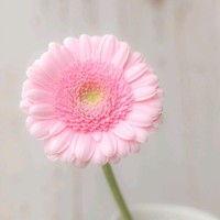 朱永胜