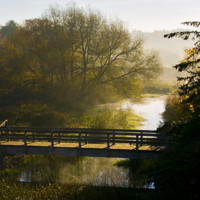 Scanlon Creek