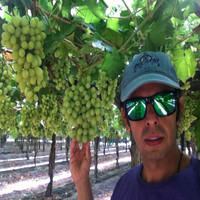 Alexis Lara Celis
