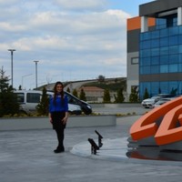 naziker SERDAR