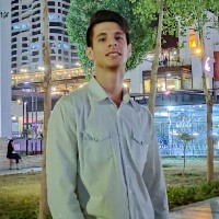 Sina Pourmohamad