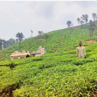 Ramachandra Dandapur