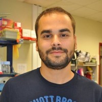 Dimitris Angelidis