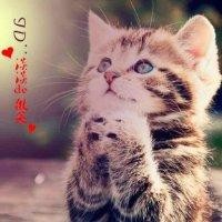 曹海瑞