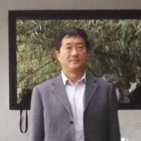 甄洪飞