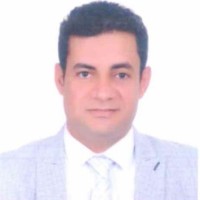 Mohamed Yahia Elkattan