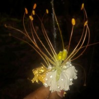 Kopperundevi Kopperundevi