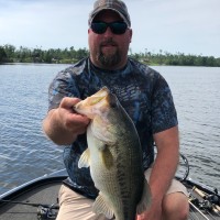 Joe Wilcox