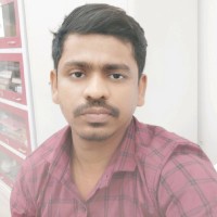 Surajit Malik