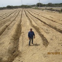 Arturo Cardenas Estela