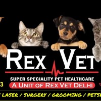 Rex Vet