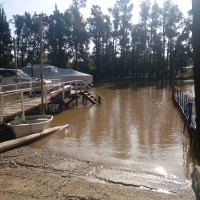 Diego Fernando Lofredo