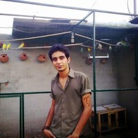 Hassam Ahmad