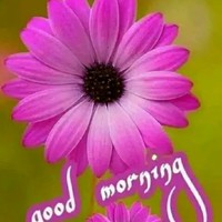 Gohil Balvantsinh