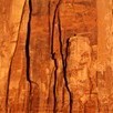 Olawale Ogunleye