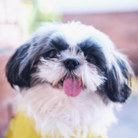 Amber Denisse Salazar