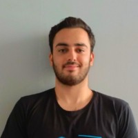 Lemi Berker