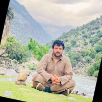 Masood Safi